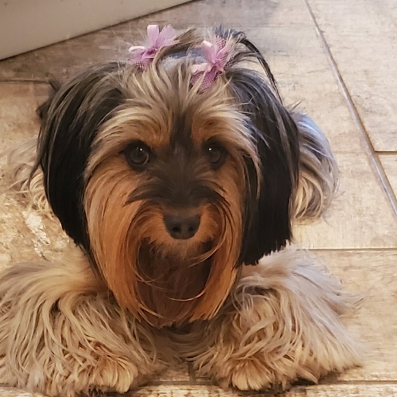 Meet your Posher, Tracie - Picture 2 of 5